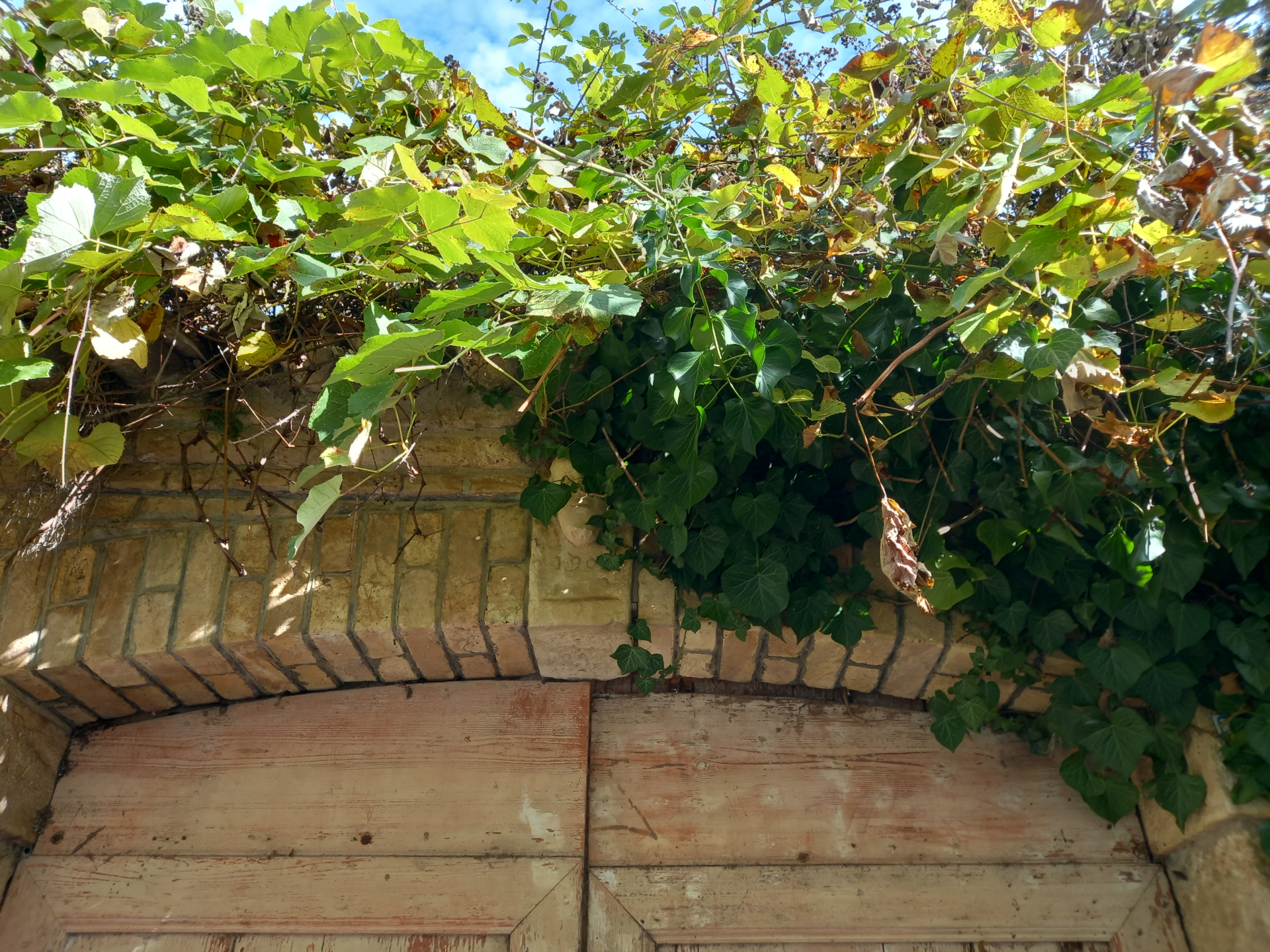 A San Pietro di Ragogna - Slideshow 5